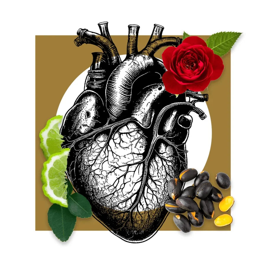 NOTTE D'AMORE - Extrait de Parfum